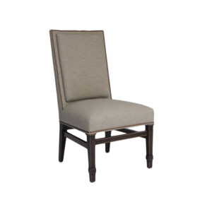 WS-1215-843 Theadora Side chair