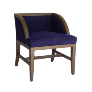 WS-HOS-2802-OCCASIONAL CHAIR- 24W 25D 32H