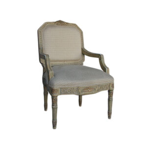 WS-2628-Regence Arm Chair-26W 28D 40H -COM 2.5 yds