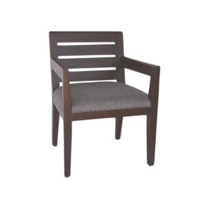 WS-HOS-3003-DINING CHAIR-24W 24D 35H-COM  1  yd