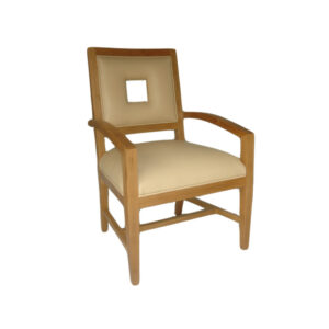 WS-HOS-3005-DINING CHAIR-24W 24D 38H 23AH-COM 3 yds