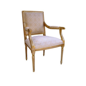 WS-2101-Louis XVI Martine Arm Chair-24W 25D 21SD 38H -COM 2.5 yds