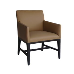 WS-HOS-3000-DINING CHAIR-24W 24D 38H- In  COL  45 sq ft