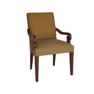 WS-HOS-3007-DINING CHAIR-24W 25.5D 34.5H 24.5AH-COM 2 yds