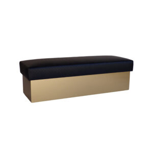 WS-1103- Clarion Ottoman